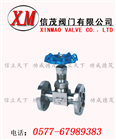法蘭式針型閥